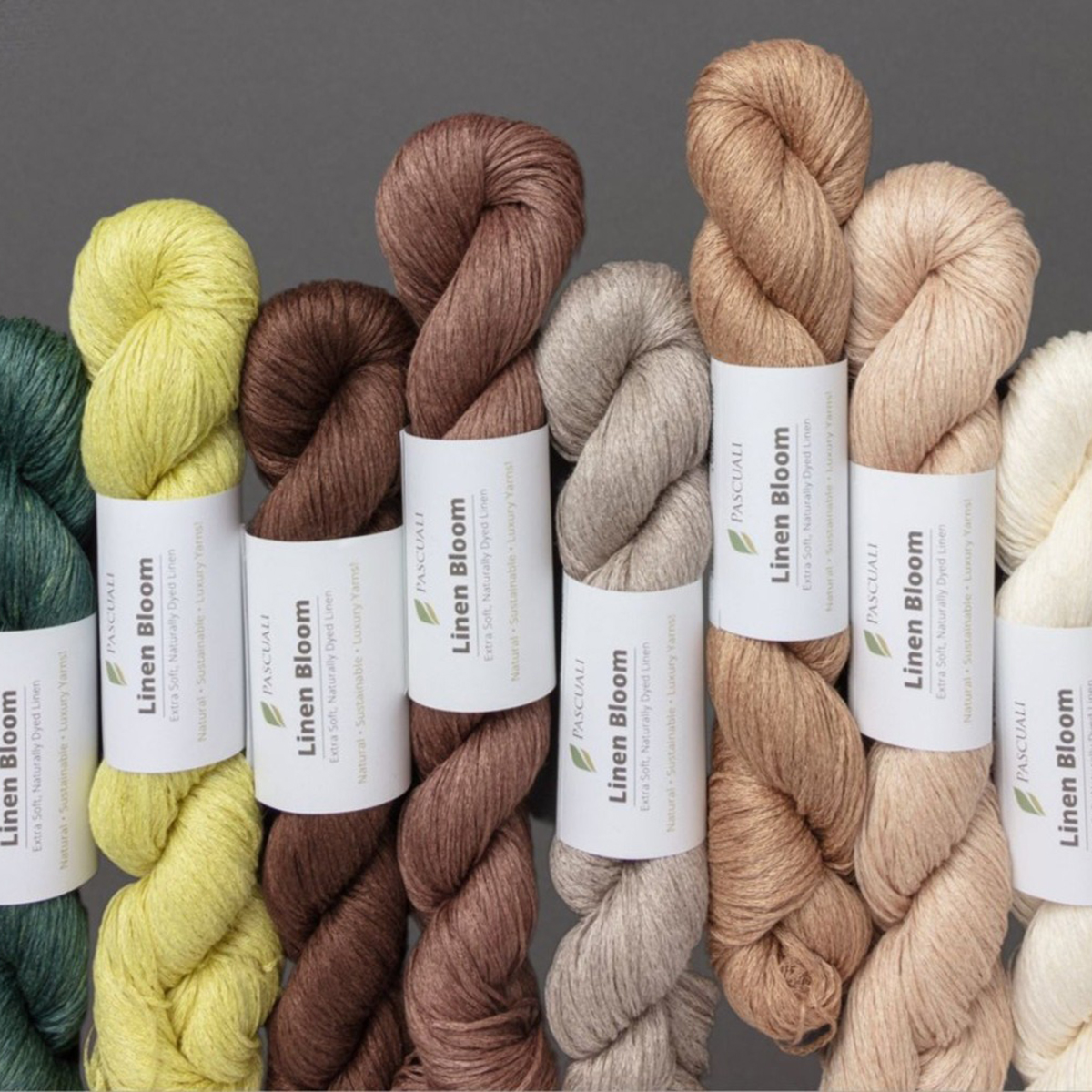 Linen Bloom von Pascuali ist da