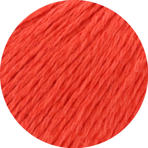 G.14730005-Dodici Col. 5