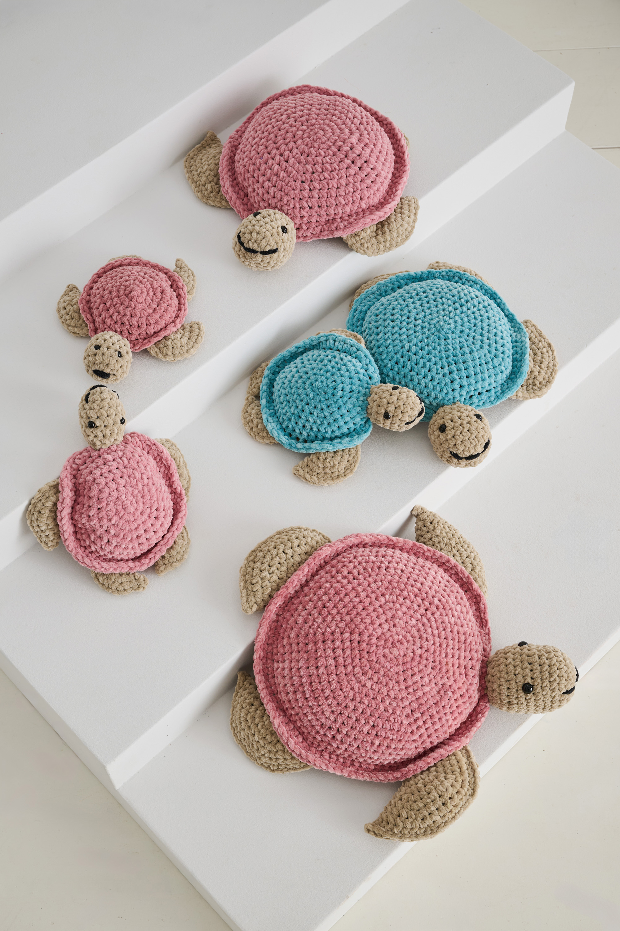 BABYSCHILDKRÖTE IN ALTROSA - The Look