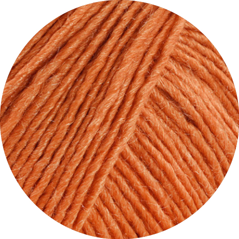 G.17450007-Setosa Col. 7